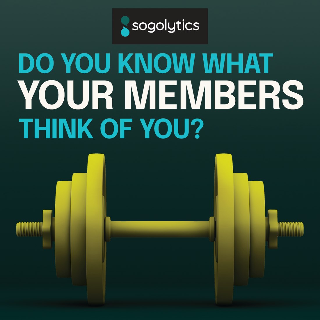 Fitness · what members think