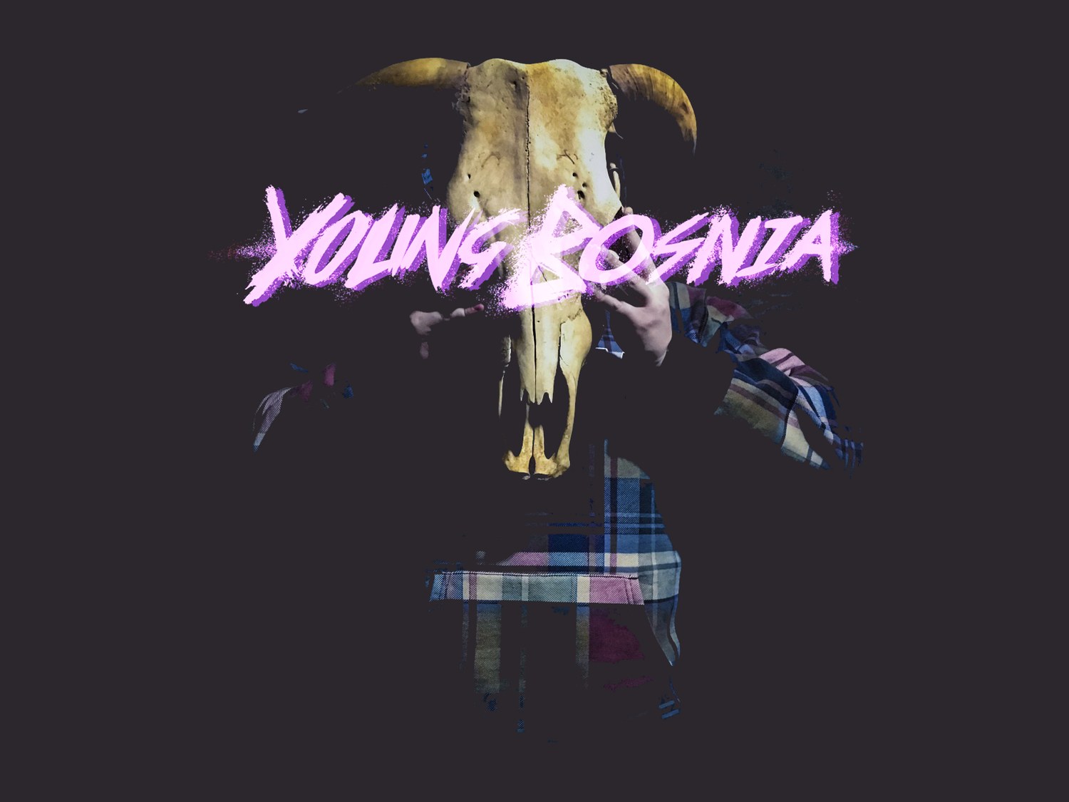 Cover, skull as mask